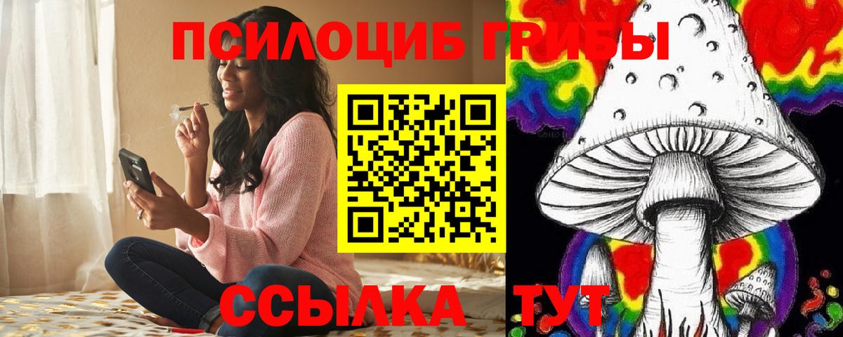 цены наркотик  Псилоцибиновые грибы Magic Shrooms  Нарткала  Вход с VPN  Псилоцибиновые грибы Psilocybe 