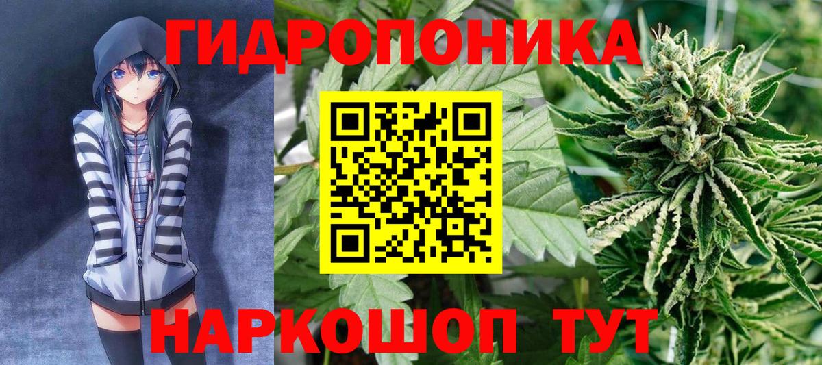 Шишки марихуана THC 21%  Канабис OG Kush  Бошки Шишки Bruce Banner  Каннабис индика  Нарткала  Вход с VPN 
